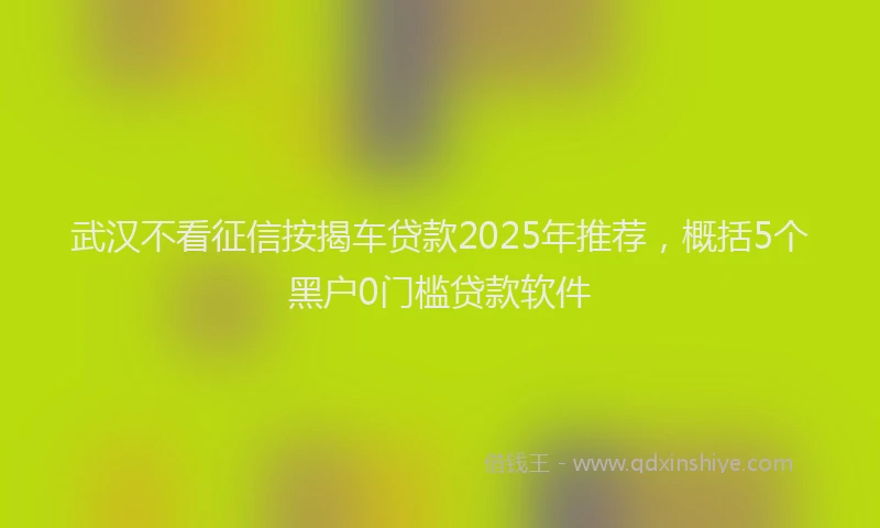 武汉不看征信按揭车贷款2025年推荐，概括5个黑户0门槛贷款软件