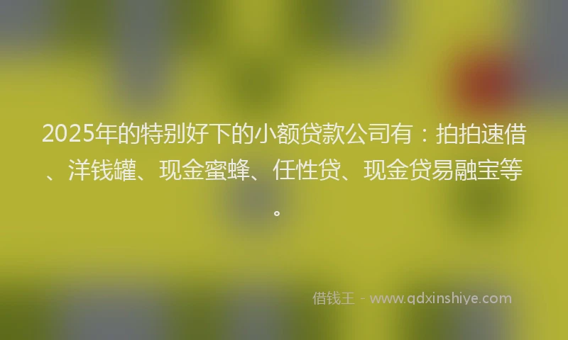 2025年的特别好下的小额贷款公司有：拍拍速借、洋钱罐、现金蜜蜂、任性贷、现金贷易融宝等。