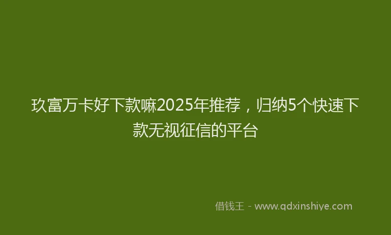 玖富万卡好下款嘛2025年推荐，归纳5个快速下款无视征信的平台