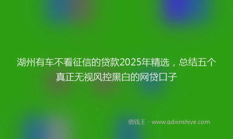 湖州有车不看征信的贷款2025年精选，总结五个真正无视风控黑白的网贷口子