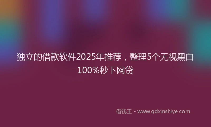 独立的借款软件2025年推荐，整理5个无视黑白100%秒下网贷