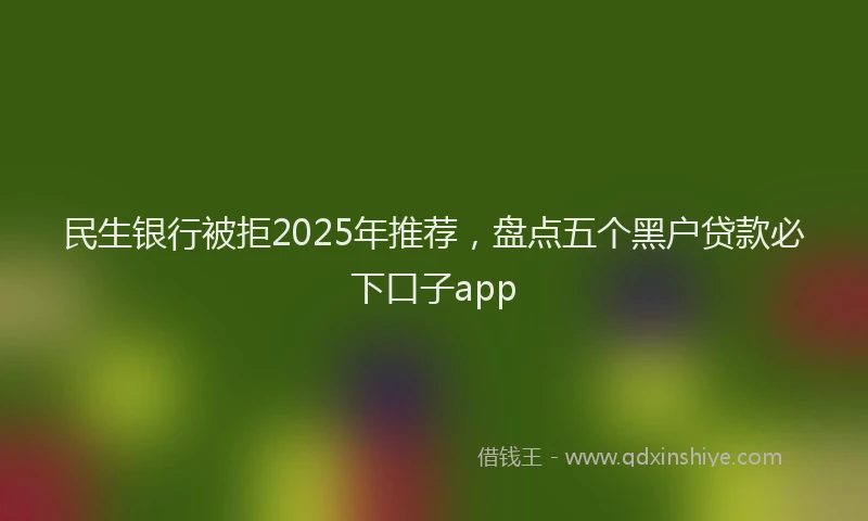 民生银行被拒2025年推荐，盘点五个黑户贷款必下口子app