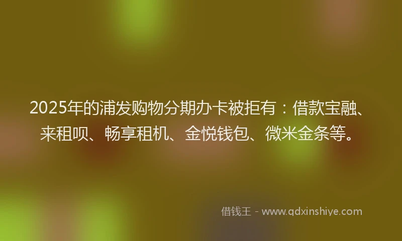 2025年的浦发购物分期办卡被拒有：借款宝融、来租呗、畅享租机、金悦钱包、微米金条等。