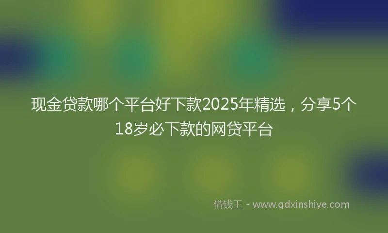 现金贷款哪个平台好下款2025年精选，分享5个18岁必下款的网贷平台