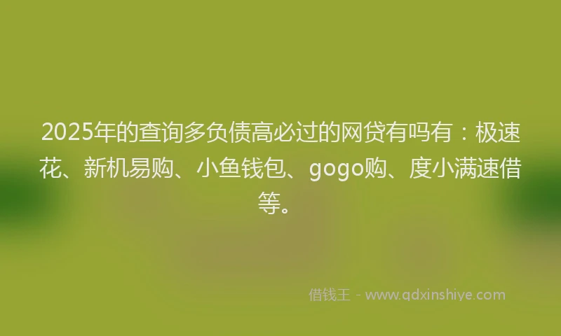 2025年的查询多负债高必过的网贷有吗有：极速花、新机易购、小鱼钱包、gogo购、度小满速借等。