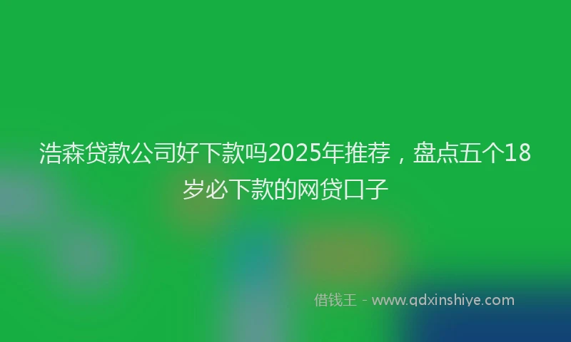 浩森贷款公司好下款吗2025年推荐，盘点五个18岁必下款的网贷口子