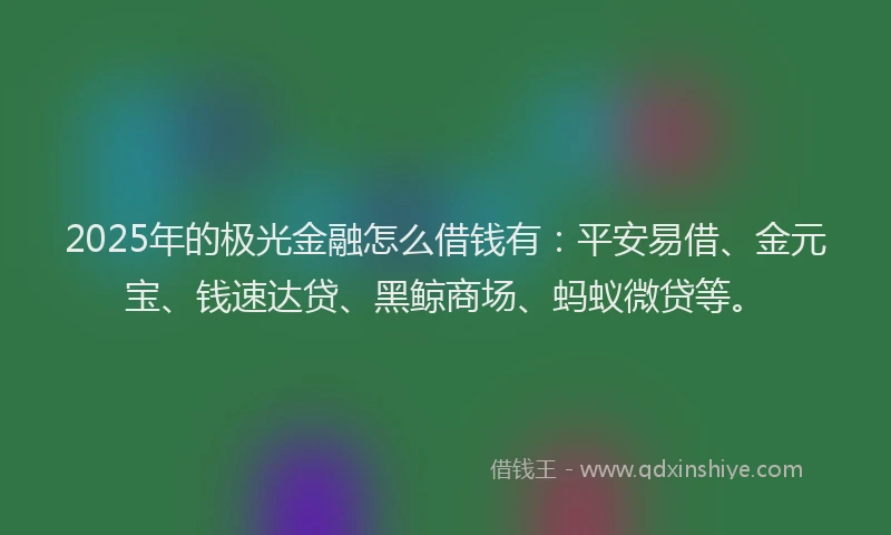 2025年的极光金融怎么借钱有：平安易借、金元宝、钱速达贷、黑鲸商场、蚂蚁微贷等。