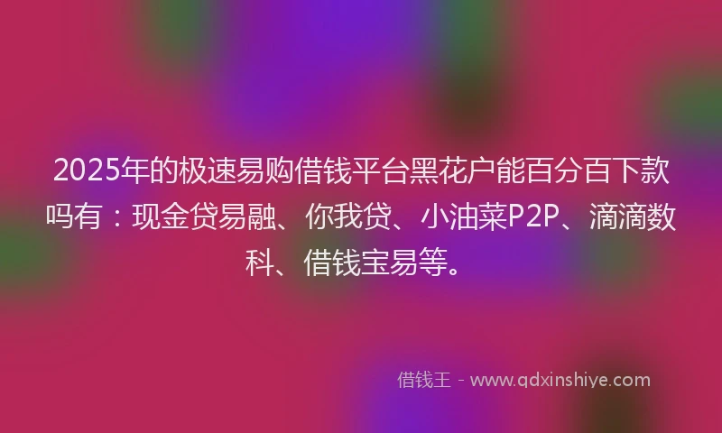 2025年的极速易购借钱平台黑花户能百分百下款吗有：现金贷易融、你我贷、小油菜P2P、滴滴数科、借钱宝易等。