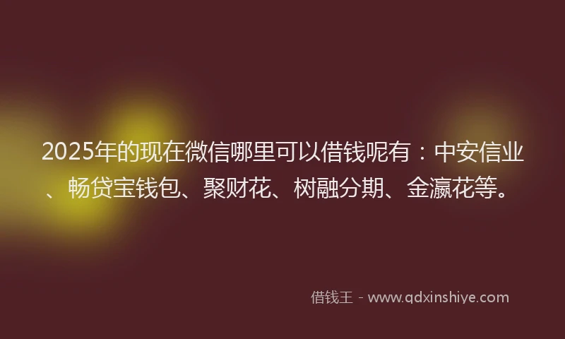 2025年的现在微信哪里可以借钱呢有：中安信业、畅贷宝钱包、聚财花、树融分期、金瀛花等。