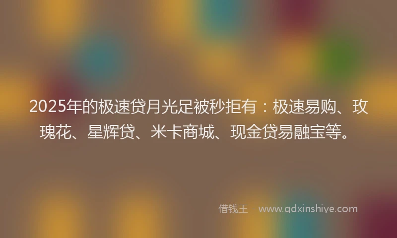 2025年的极速贷月光足被秒拒有：极速易购、玫瑰花、星辉贷、米卡商城、现金贷易融宝等。