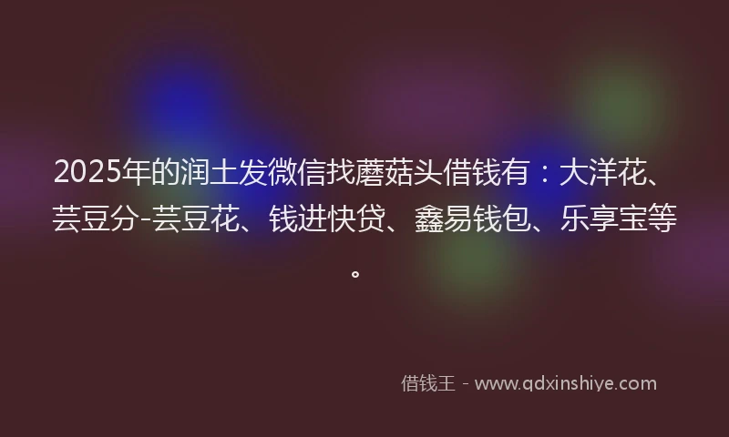2025年的润土发微信找蘑菇头借钱有：大洋花、芸豆分-芸豆花、钱进快贷、鑫易钱包、乐享宝等。