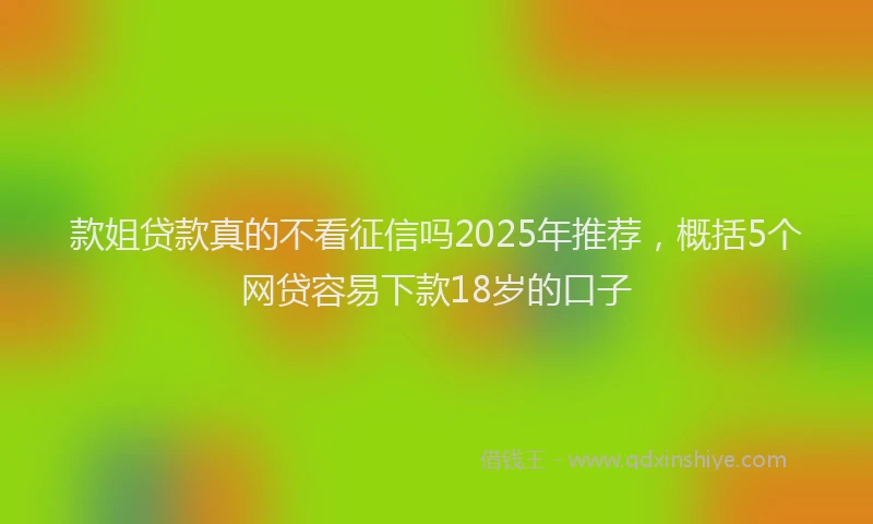 款姐贷款真的不看征信吗2025年推荐，概括5个网贷容易下款18岁的口子