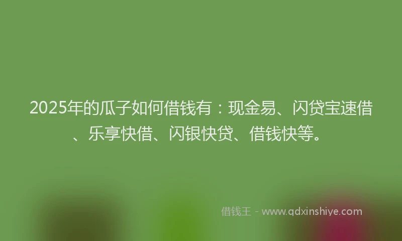 2025年的瓜子如何借钱有：现金易、闪贷宝速借、乐享快借、闪银快贷、借钱快等。