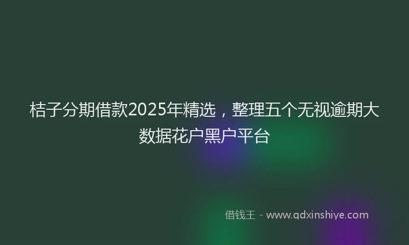 桔子分期借款2025年精选，整理五个无视逾期大数据花户黑户平台