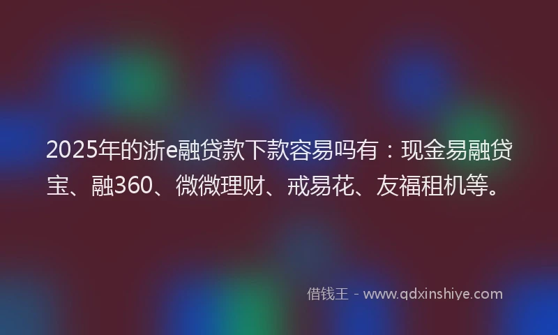 2025年的浙e融贷款下款容易吗有：现金易融贷宝、融360、微微理财、戒易花、友福租机等。