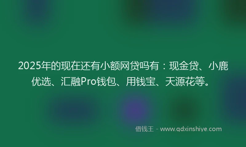 2025年的现在还有小额网贷吗有：现金贷、小鹿优选、汇融Pro钱包、用钱宝、天源花等。