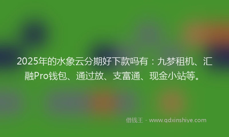 2025年的水象云分期好下款吗有：九梦租机、汇融Pro钱包、通过放、支富通、现金小站等。