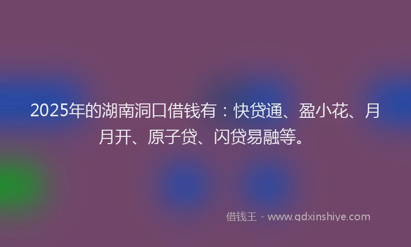 2025年的湖南洞口借钱有：快贷通、盈小花、月月开、原子贷、闪贷易融等。