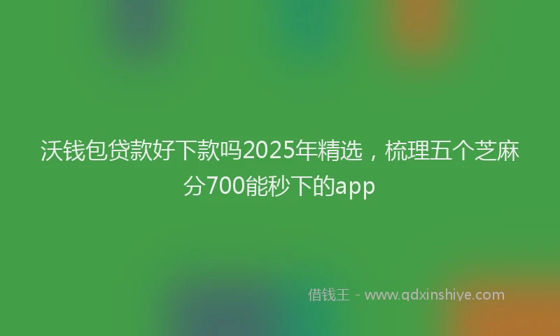 沃钱包贷款好下款吗2025年精选，梳理五个芝麻分700能秒下的app