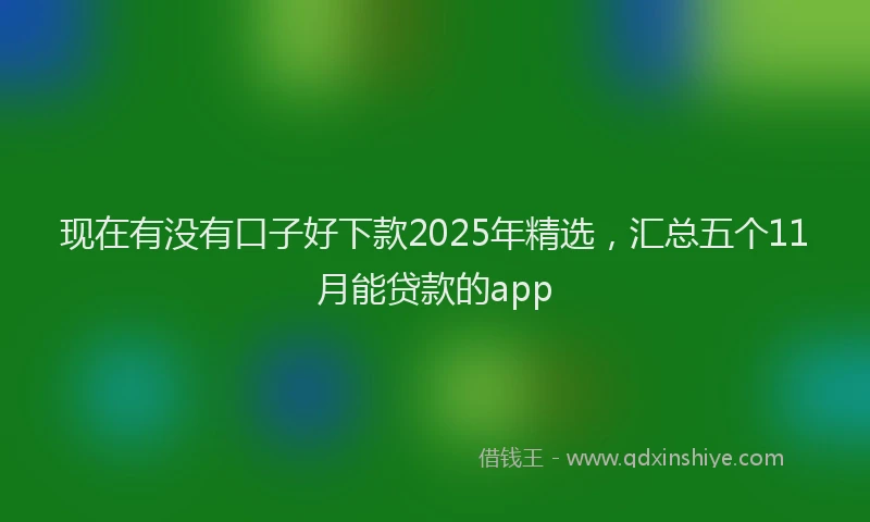 现在有没有口子好下款2025年精选，汇总五个11月能贷款的app