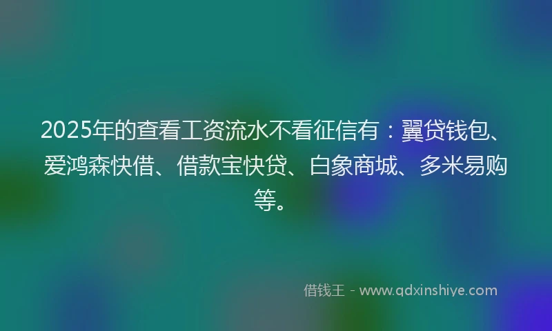 2025年的查看工资流水不看征信有：翼贷钱包、爱鸿森快借、借款宝快贷、白象商城、多米易购等。