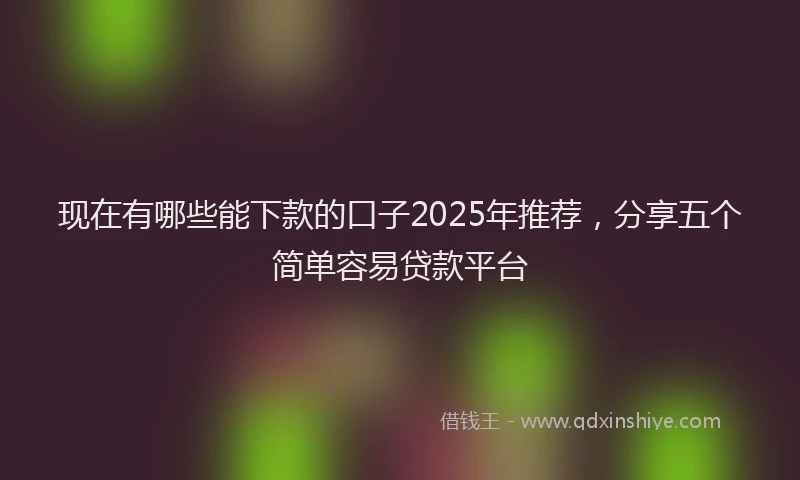 现在有哪些能下款的口子2025年推荐，分享五个简单容易贷款平台