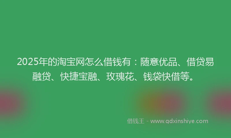 2025年的淘宝网怎么借钱有：随意优品、借贷易融贷、快捷宝融、玫瑰花、钱袋快借等。