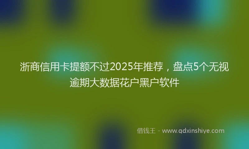 浙商信用卡提额不过2025年推荐，盘点5个无视逾期大数据花户黑户软件