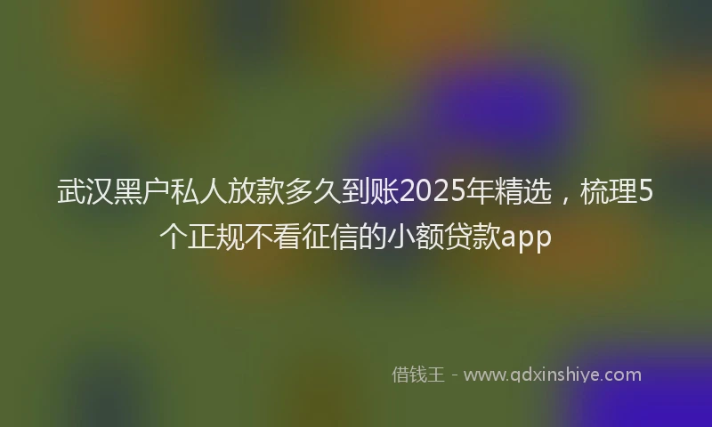 武汉黑户私人放款多久到账2025年精选，梳理5个正规不看征信的小额贷款app