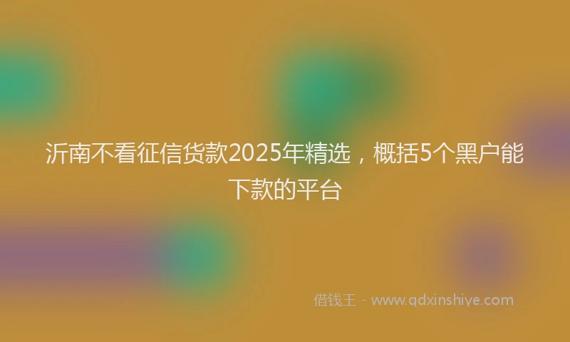 沂南不看征信货款2025年精选，概括5个黑户能下款的平台