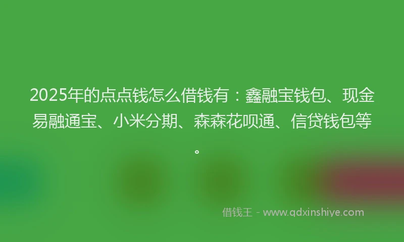 2025年的点点钱怎么借钱有：鑫融宝钱包、现金易融通宝、小米分期、森森花呗通、信贷钱包等。