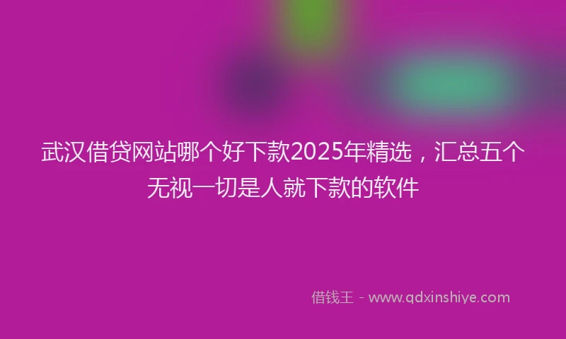 武汉借贷网站哪个好下款2025年精选，汇总五个无视一切是人就下款的软件
