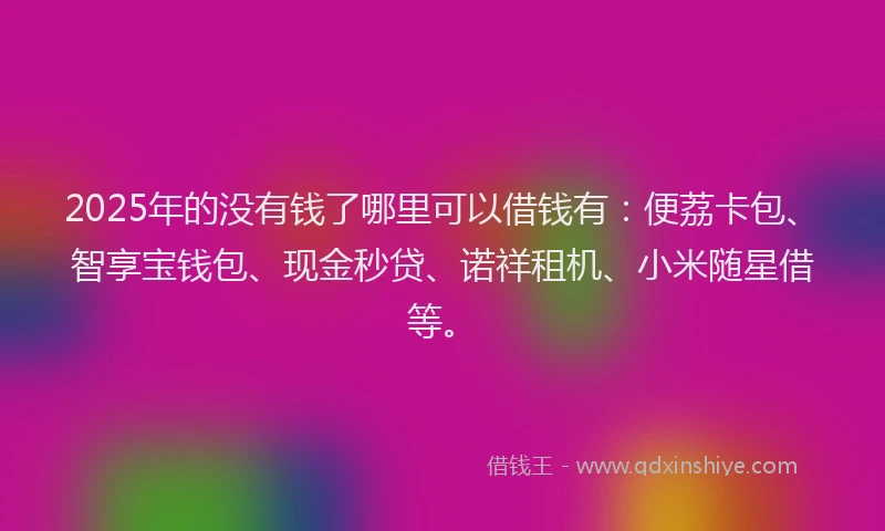 2025年的没有钱了哪里可以借钱有：便荔卡包、智享宝钱包、现金秒贷、诺祥租机、小米随星借等。