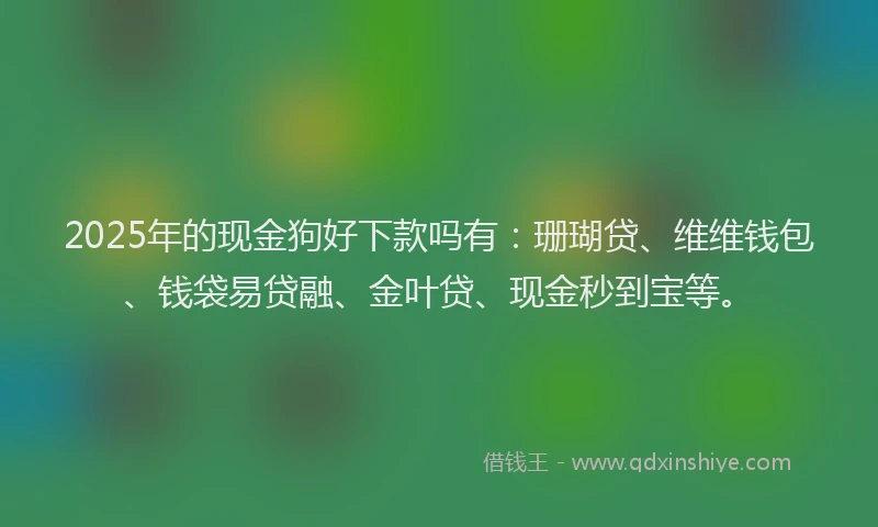 2025年的现金狗好下款吗有：珊瑚贷、维维钱包、钱袋易贷融、金叶贷、现金秒到宝等。