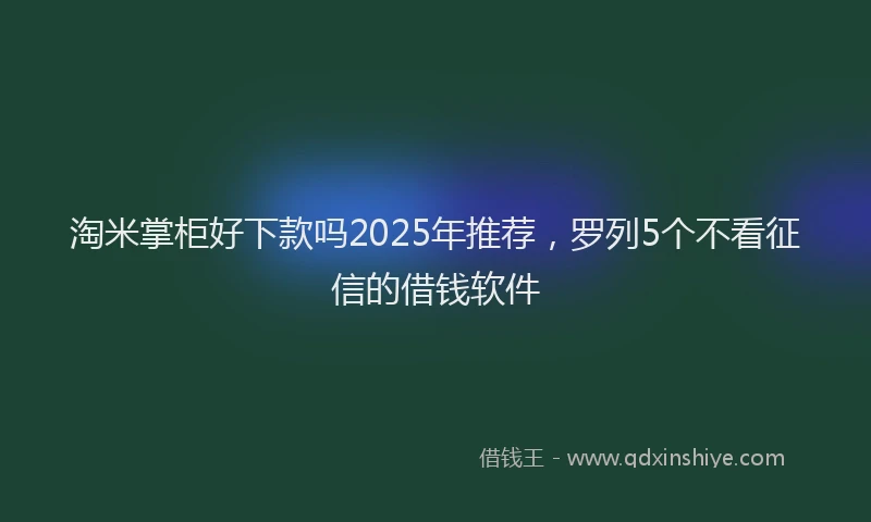 淘米掌柜好下款吗2025年推荐，罗列5个不看征信的借钱软件