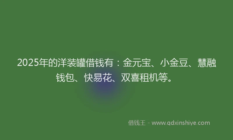 2025年的洋装罐借钱有：金元宝、小金豆、慧融钱包、快易花、双喜租机等。