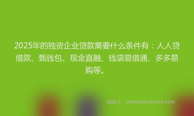 2025年的独资企业贷款需要什么条件有：人人贷借款、甄钱包、现金直融、钱袋易借通、多多易购等。