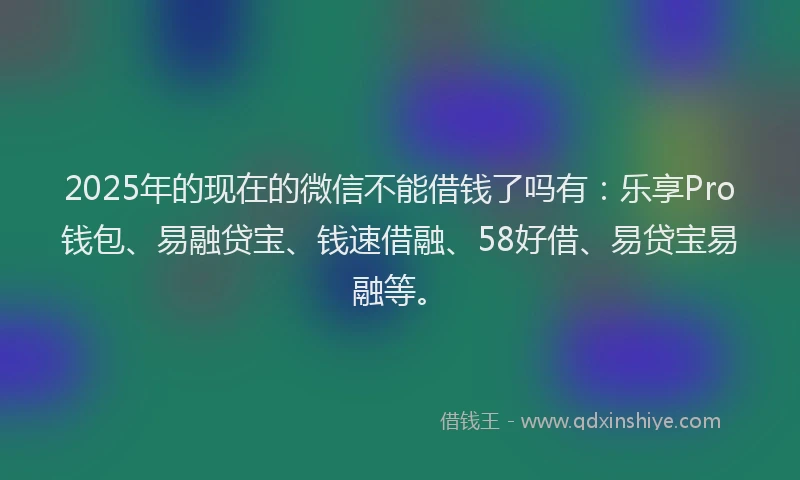 2025年的现在的微信不能借钱了吗有：乐享Pro钱包、易融贷宝、钱速借融、58好借、易贷宝易融等。
