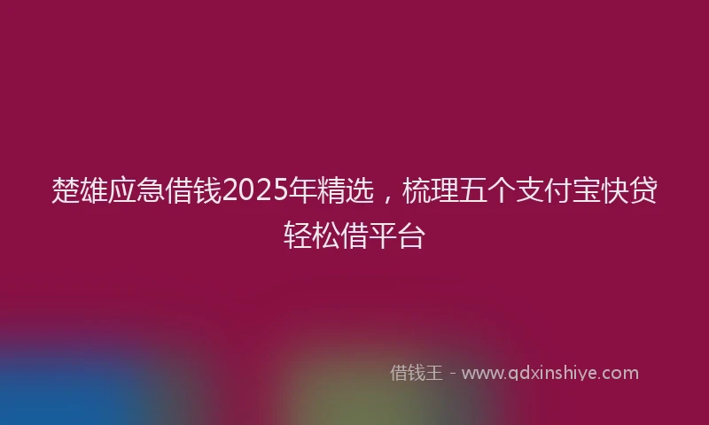 楚雄应急借钱2025年精选，梳理五个支付宝快贷轻松借平台