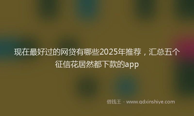 现在最好过的网贷有哪些2025年推荐，汇总五个征信花居然都下款的app