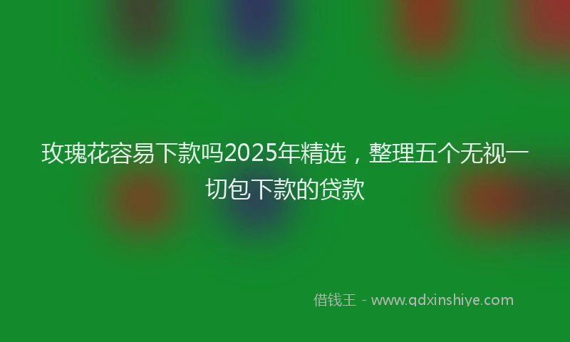 玫瑰花容易下款吗2025年精选，整理五个无视一切包下款的贷款