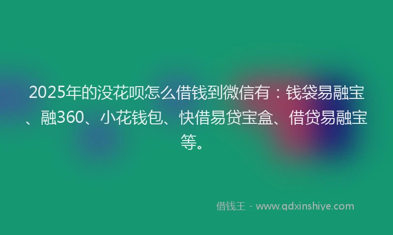 2025年的没花呗怎么借钱到微信有：钱袋易融宝、融360、小花钱包、快借易贷宝盒、借贷易融宝等。