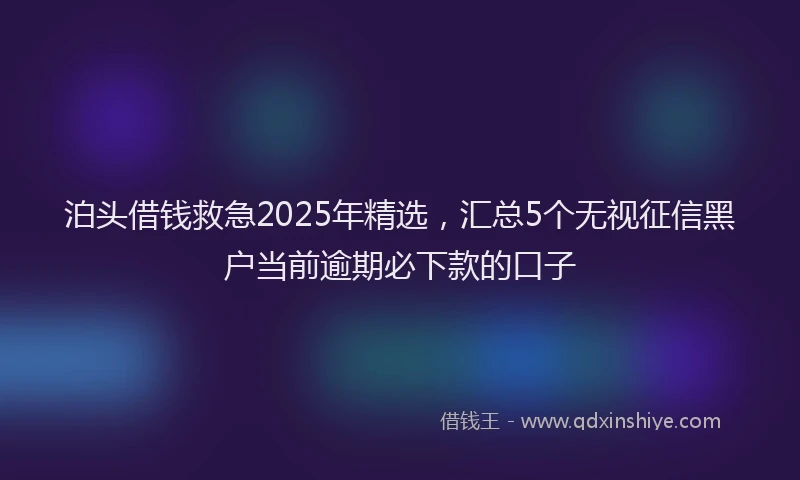 泊头借钱救急2025年精选，汇总5个无视征信黑户当前逾期必下款的口子