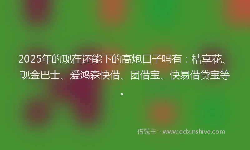 2025年的现在还能下的高炮口子吗有：桔享花、现金巴士、爱鸿森快借、团借宝、快易借贷宝等。