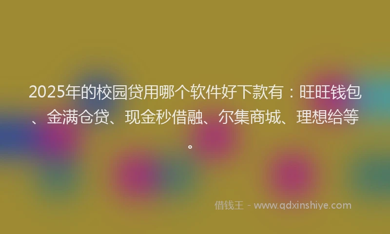 2025年的校园贷用哪个软件好下款有：旺旺钱包、金满仓贷、现金秒借融、尔集商城、理想给等。