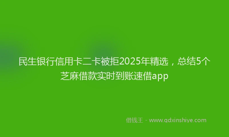 民生银行信用卡二卡被拒2025年精选，总结5个芝麻借款实时到账速借app