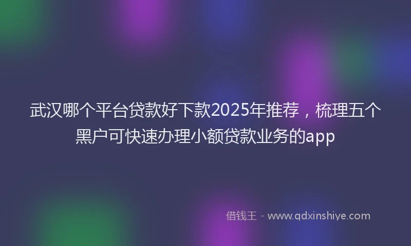 武汉哪个平台贷款好下款2025年推荐，梳理五个黑户可快速办理小额贷款业务的app