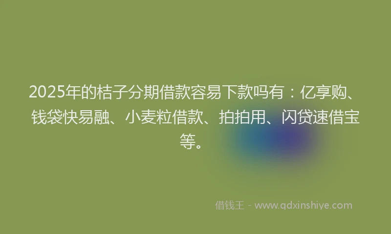 2025年的桔子分期借款容易下款吗有：亿享购、钱袋快易融、小麦粒借款、拍拍用、闪贷速借宝等。
