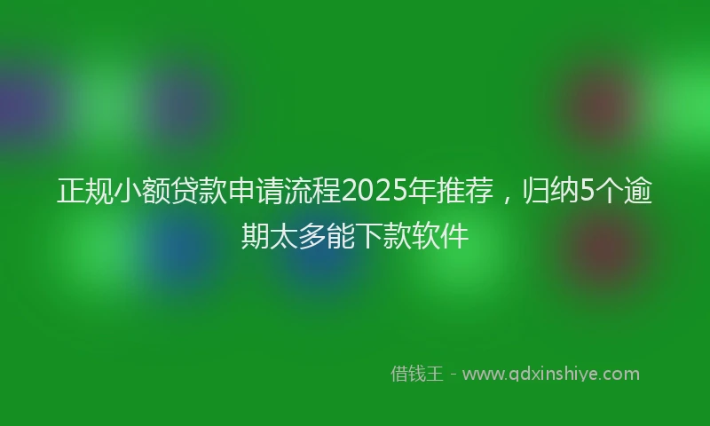 正规小额贷款申请流程2025年推荐，归纳5个逾期太多能下款软件