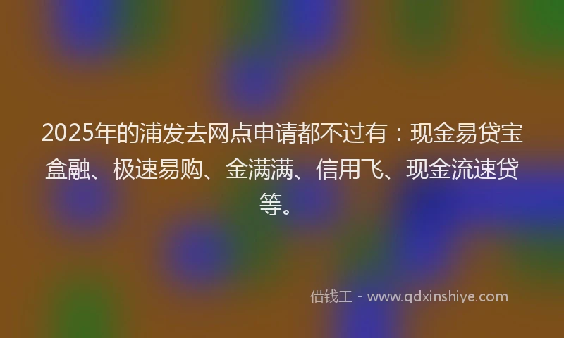 2025年的浦发去网点申请都不过有：现金易贷宝盒融、极速易购、金满满、信用飞、现金流速贷等。